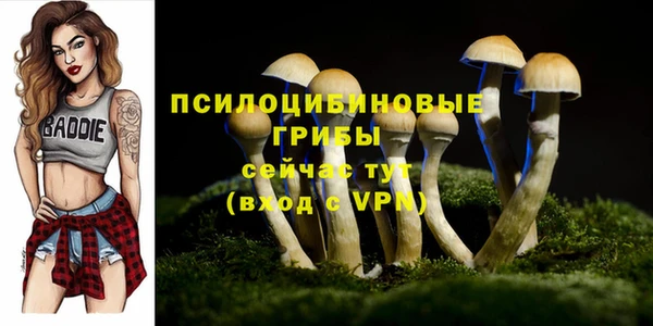 ALPHA-PVP Рославль