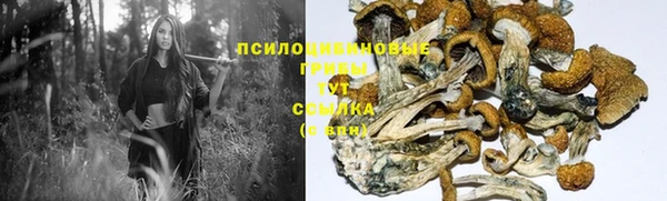 дурь Россошь