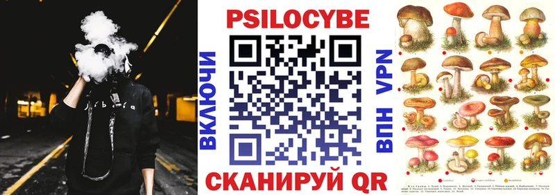 ОМГ ОМГ вход Рошаль Псилоцибиновые грибы Magic Shrooms